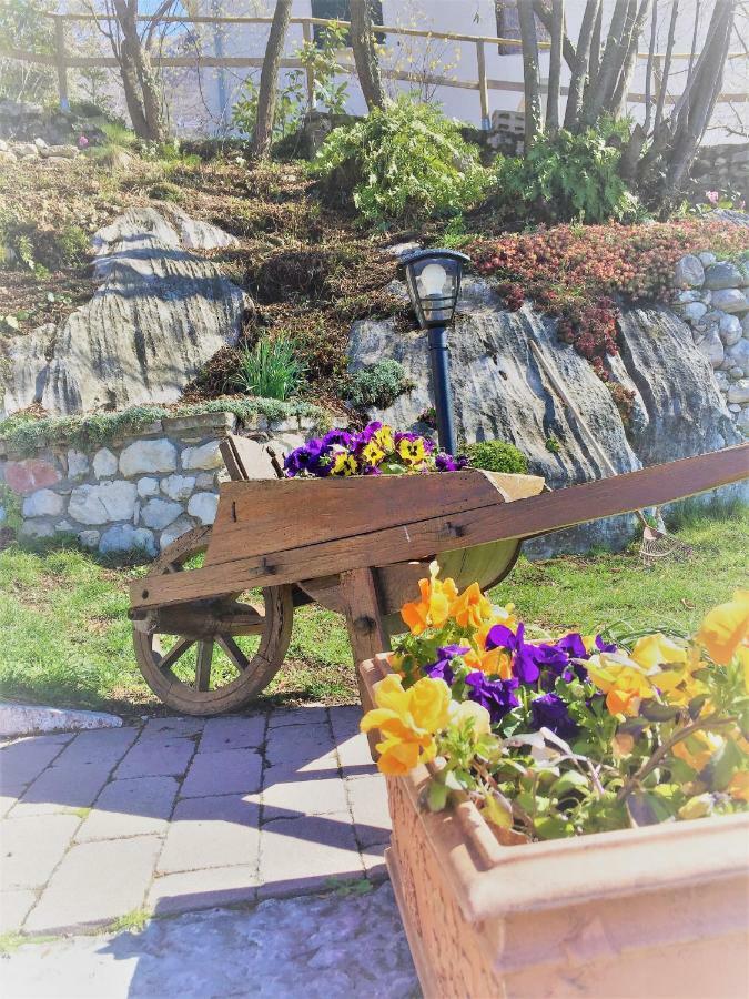 La Casa Nel Bosco Apartamento Malcesine Exterior foto
